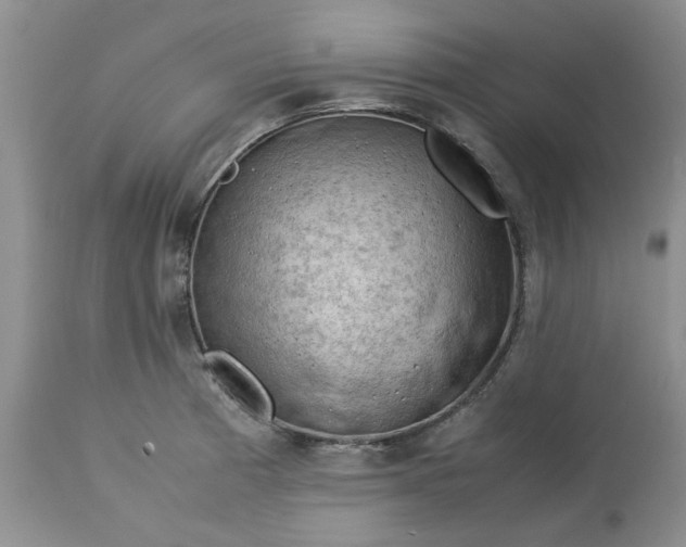 X0000113591185200910021709