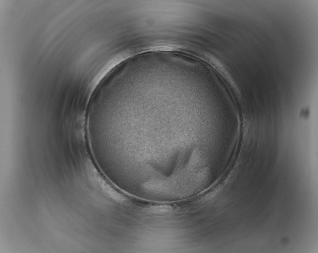 X0000113591186200910021709