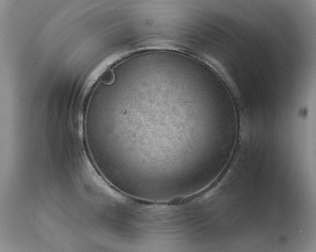 X0000113591188200910021709