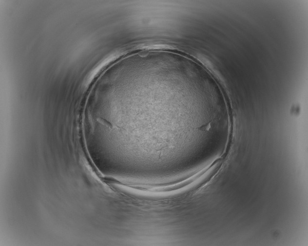 X0000113591189200910021709