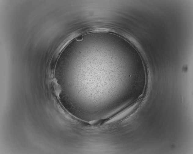 X0000113591193200910021709