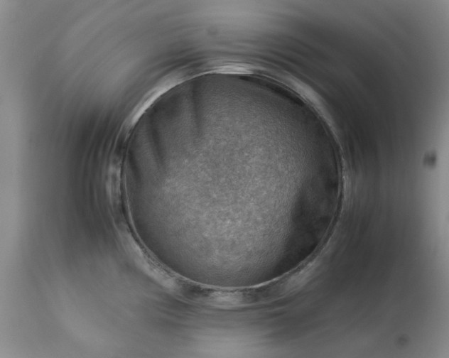 X0000113591194200910021709