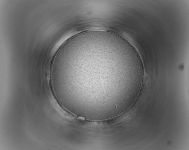 X0000113591195200910021709