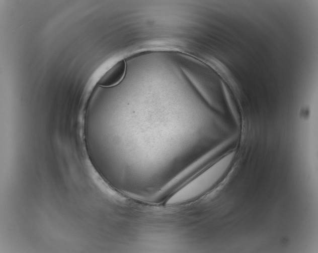 X0000113591196200910021709