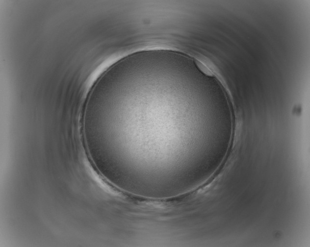 X0000113591197200910021709