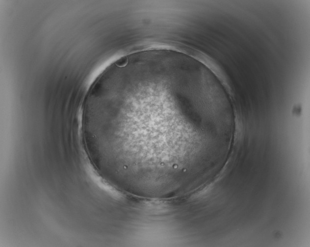 X0000113591198200910021709