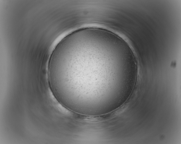 X0000113591199200910021709