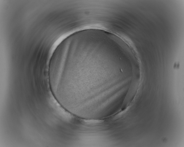 X0000113591200200910021709