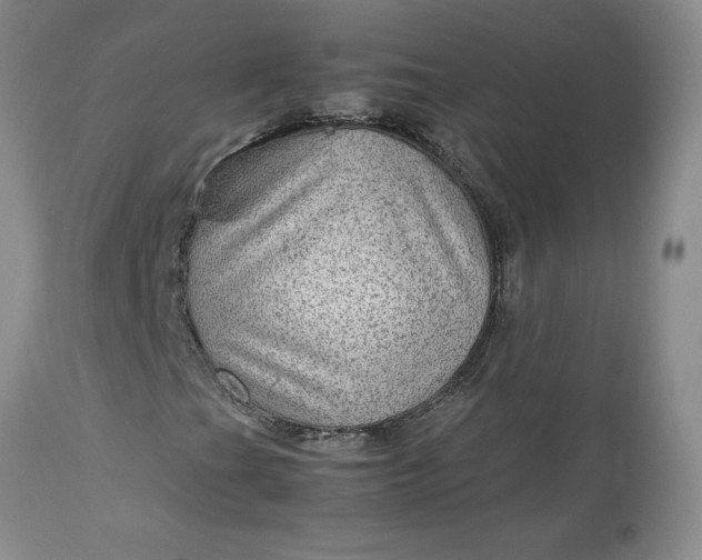 X0000113591201200910021708