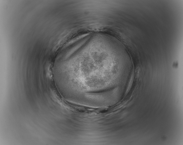 X0000113591202200910021708