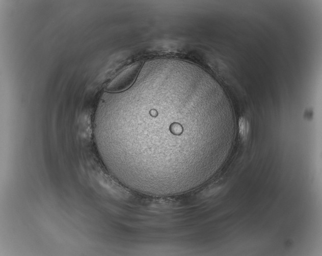 X0000113591203200910021708