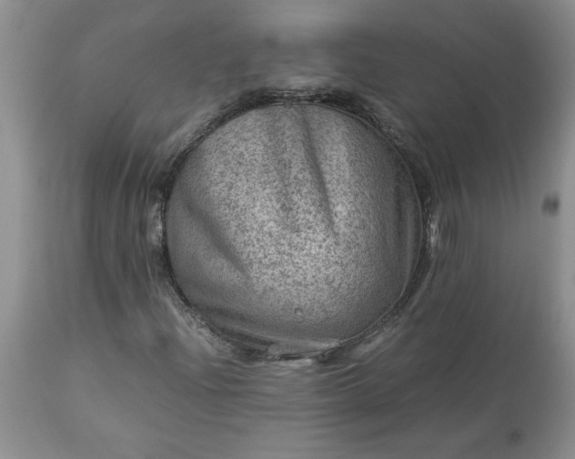 X0000113591204200910021708