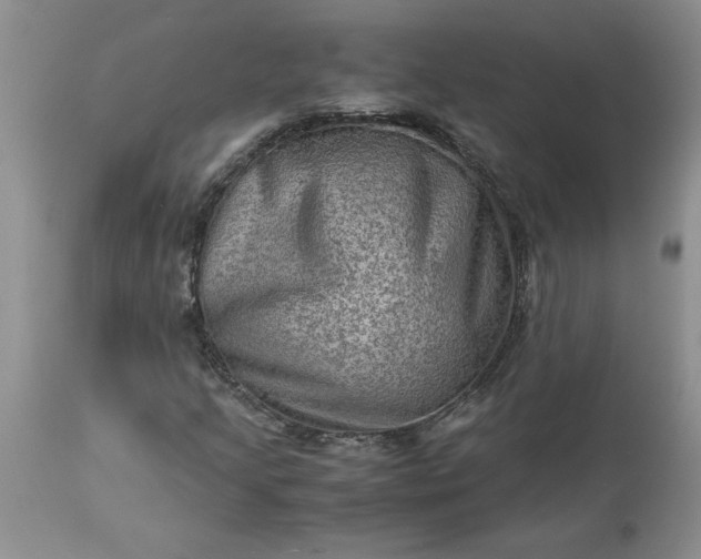 X0000113591205200910021708