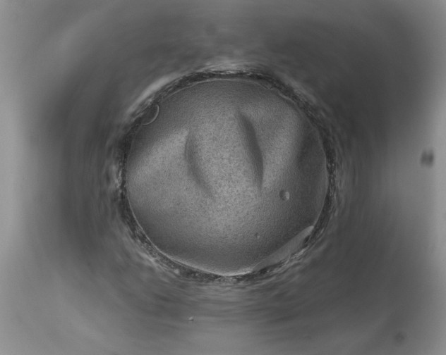 X0000113591206200910021708