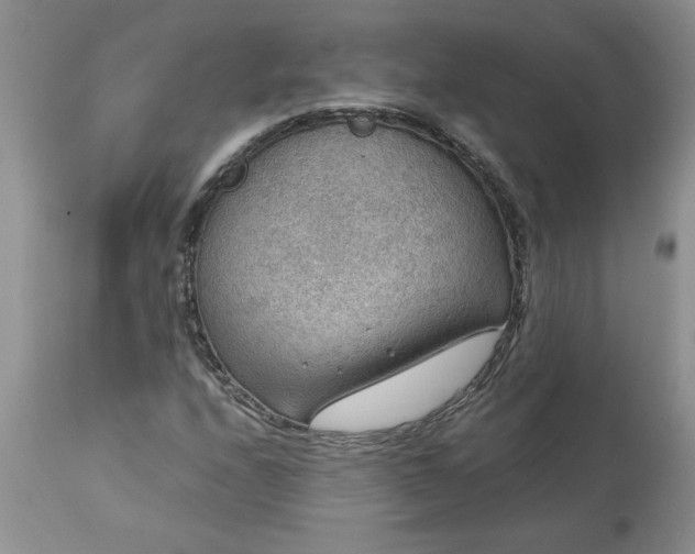 X0000113591208200910021708