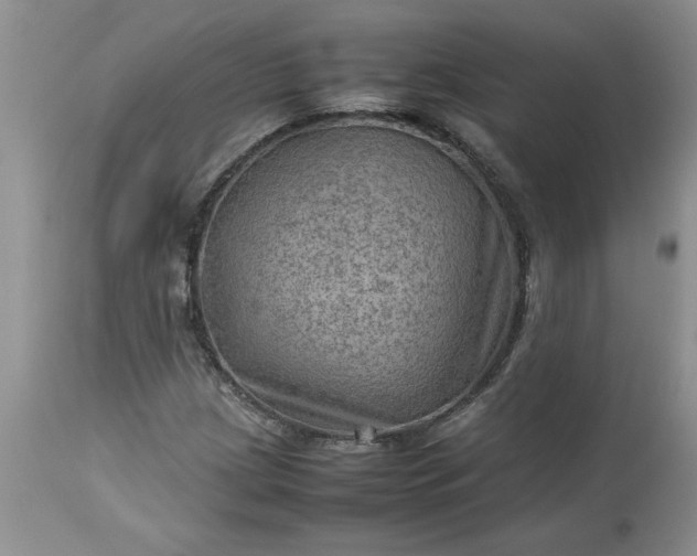 X0000113591209200910021708