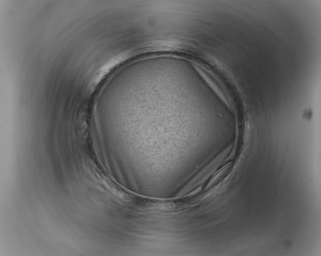 X0000113591210200910021708