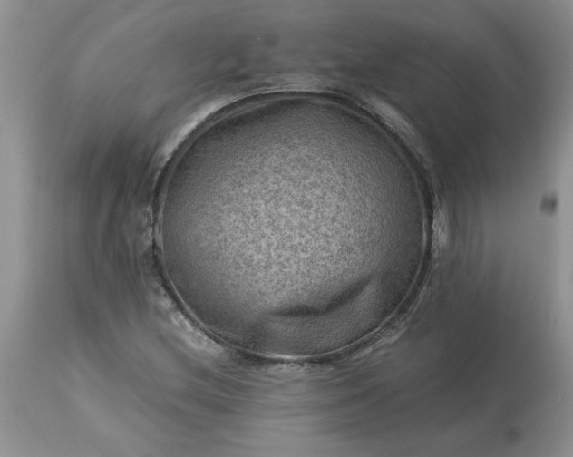 X0000113591212200910021708