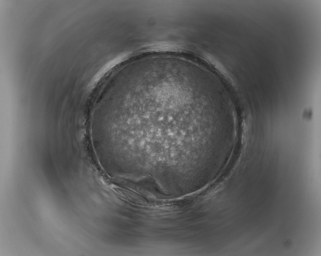 X0000113591213200910021708