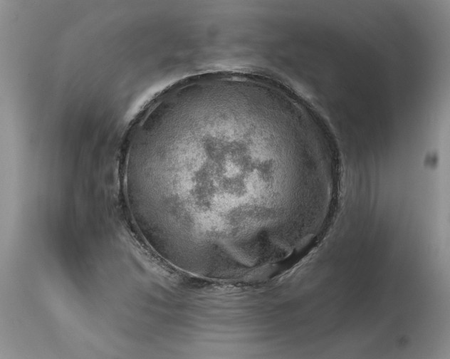 X0000113591214200910021708