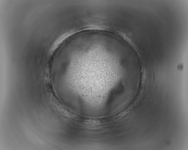 X0000113591215200910021708