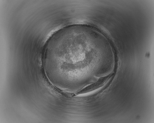 X0000113591218200910021708