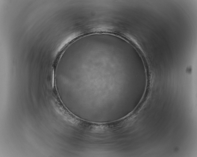 X0000113591219200910021708