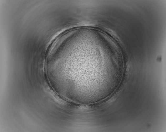 X0000113591220200910021708