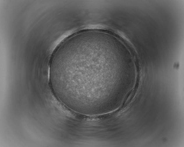 X0000113591221200910021708