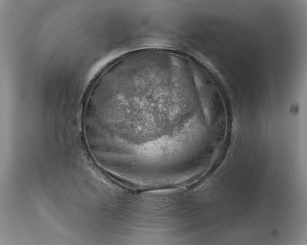 X0000113591222200910021708