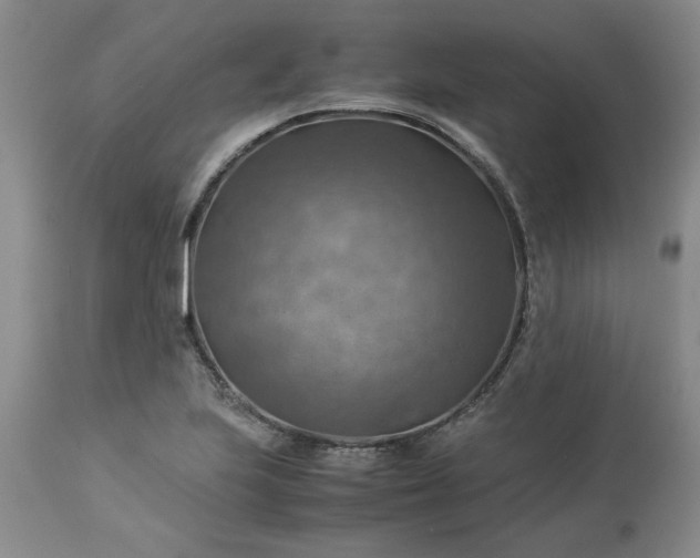 X0000113591223200910021708