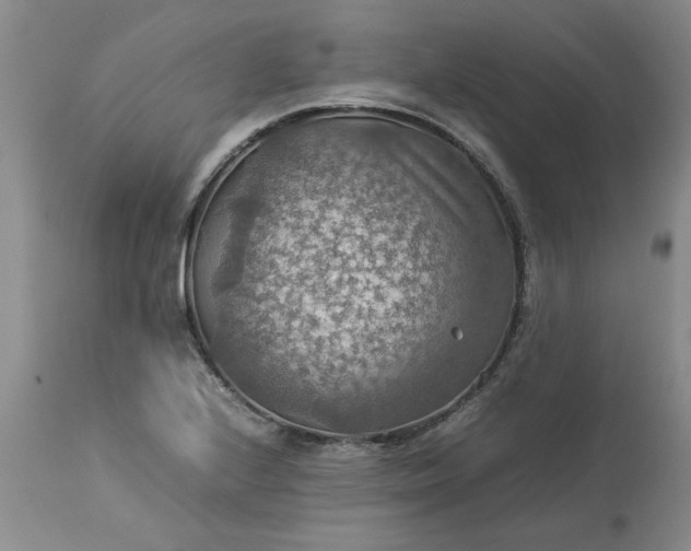 X0000113591224200910021708