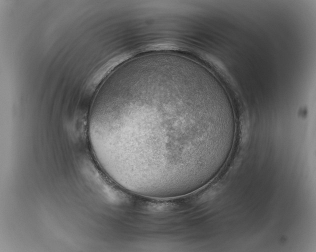 X0000113591225200910021708