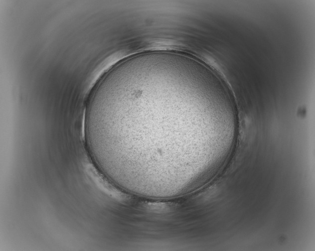 X0000113591227200910021709