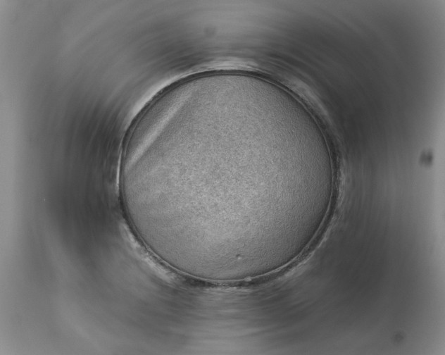 X0000113591228200910021709