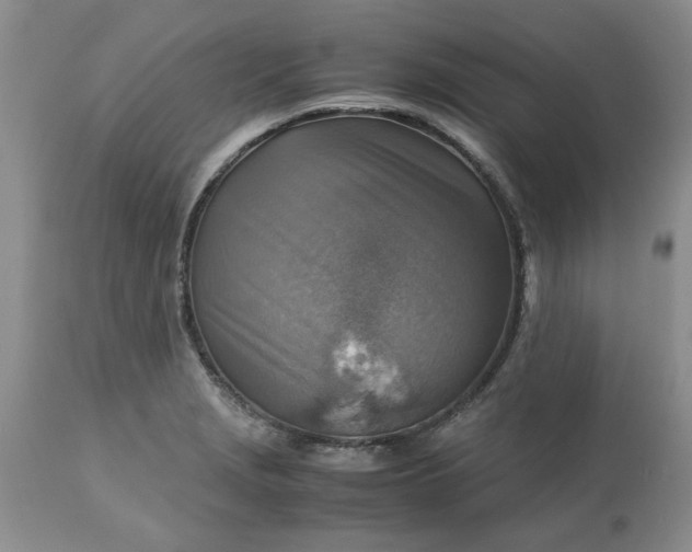 X0000113591229200910021709