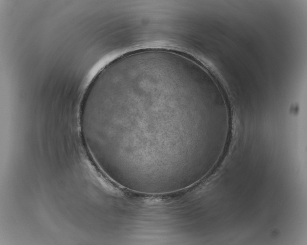 X0000113591230200910021709