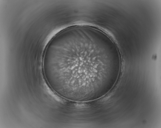 X0000113591231200910021709