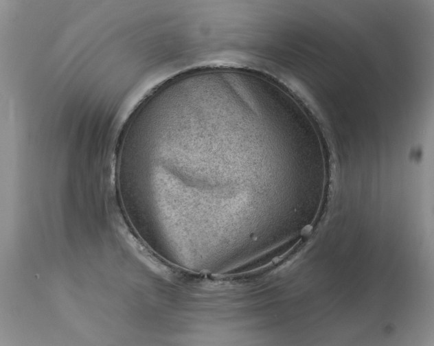 X0000113591232200910021709