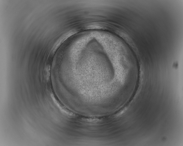 X0000113591233200910021709