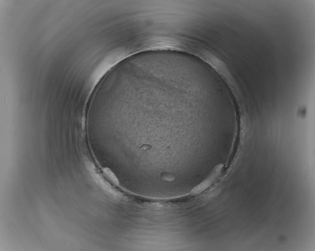 X0000113591234200910021709