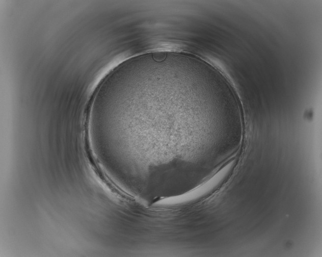 X0000113591235200910021709