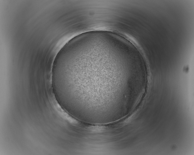 X0000113591236200910021709