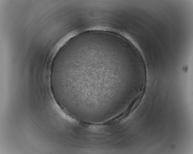 X0000113591237200910021709