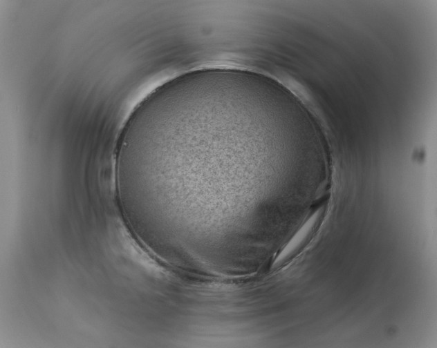 X0000113591238200910021709