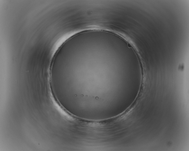 X0000113591239200910021709