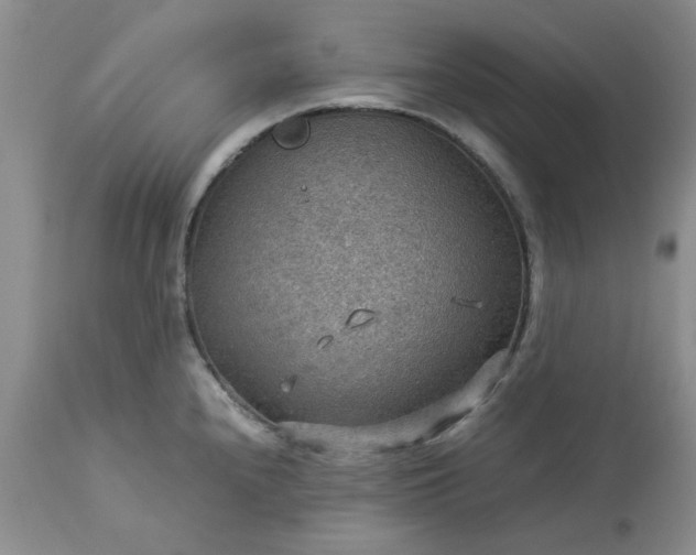 X0000113591240200910021709