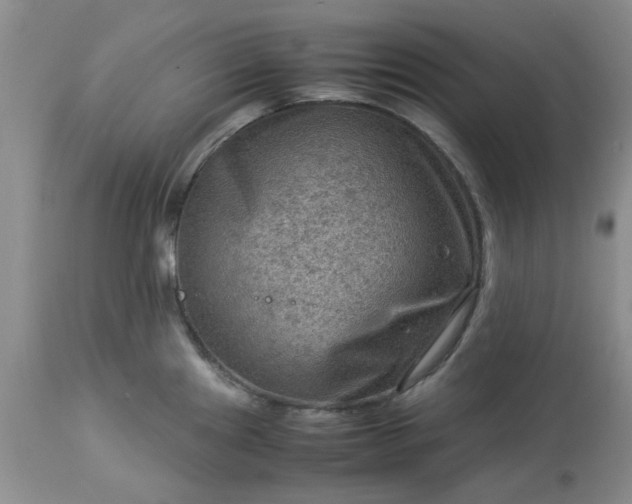 X0000113591241200910021709