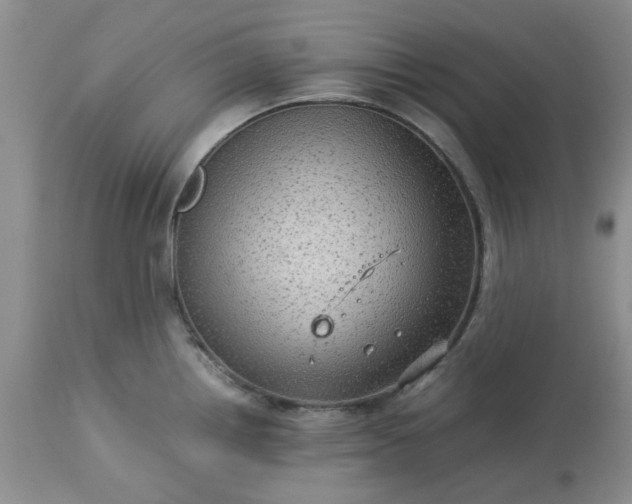 X0000113591242200910021709