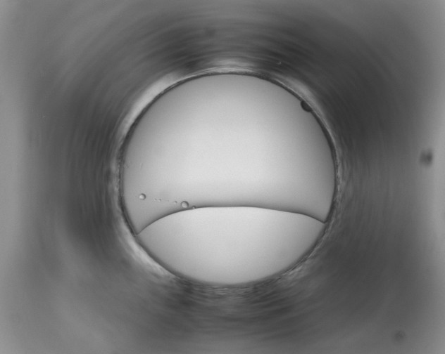 X0000113591243200910021709